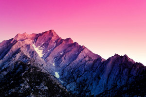 难以置信!世界杯赛场惊现超级冷门,网友:我的心像过山车!