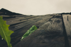 球迷投票结果出炉!英超实力榜的“人气王”是谁 球迷投票结果出炉!英超实力榜的“人气王”是谁